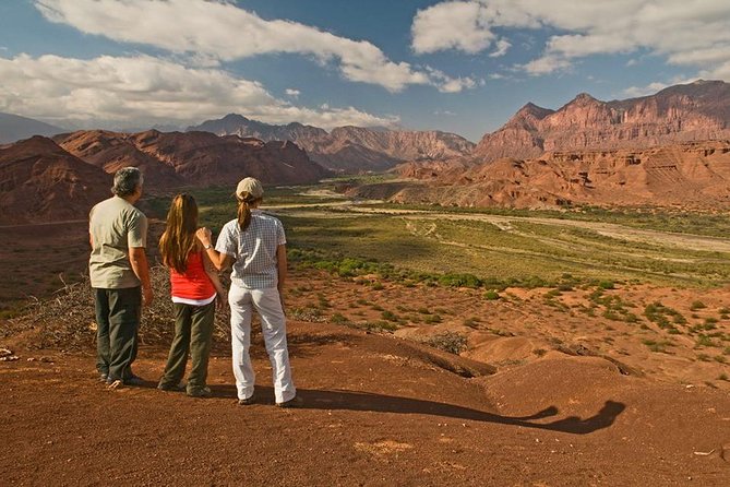 Full-Day Cafayate, Lerma Valley, and Wine Tasting From Salta - Traveler Experience and Reviews