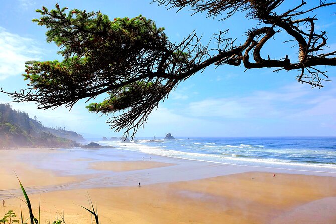 Full-Day Guided Oregon Coast Tour From Portland - Well-Paced Itinerary and Amenities