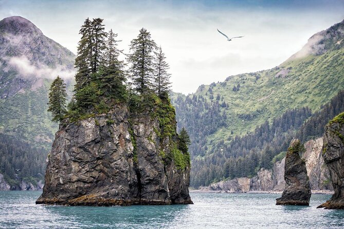 Full-Day Kenai Fjords National Park Cruise - Logistics & Accessibility