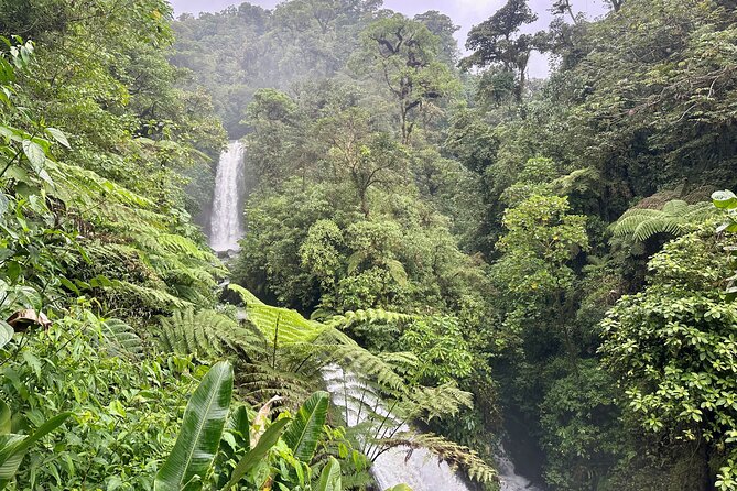 Full Day Poas Volcano, La Paz Waterfall Gardens and Coffee Plantation Experience - Customer Reviews