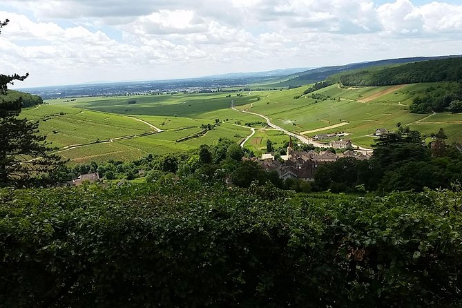 Full-Day Private Burgundy Wine Route Tour From Beaune - Wine Tasting Experience