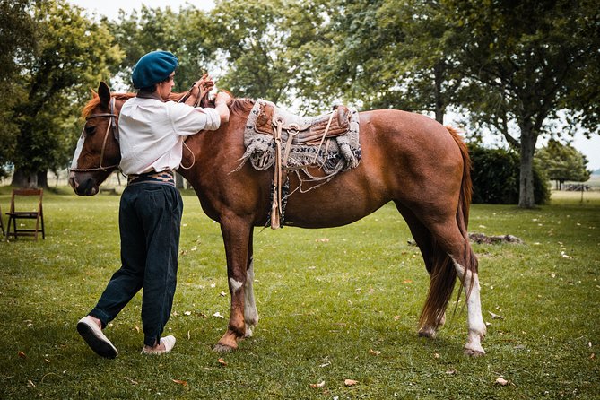 Gaucho Day Tour Ranch at an Estancia From Buenos Aires - Customer Reviews