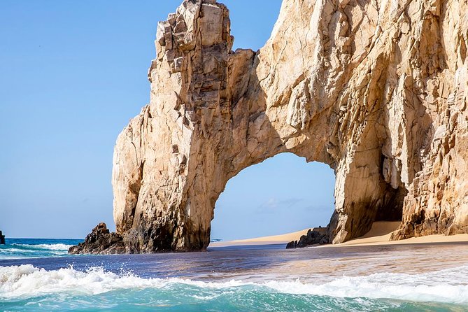 Glass-Bottom Boat Cruise in Cabo San Lucas - Tour Highlights