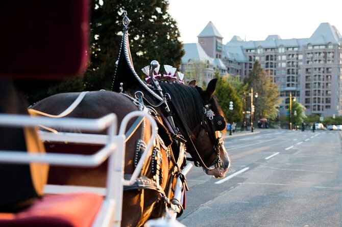 Grand Horse-Drawn Carriage Tour of Victoria - Accessibility and Capacity