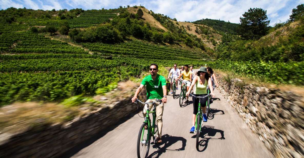 Grape Grazing: Wachau Valley Winery Biking Tour - Bike Route and Weather Conditions