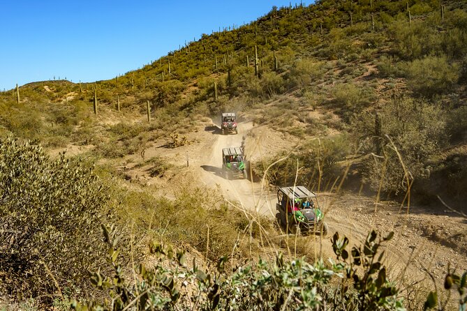 Guided Arizona Desert Tour by UTV - Booking Information and Options