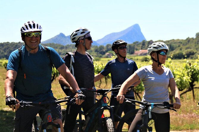 Guided Electric Bike Tours With Tasting in Pic Saint Loup - Pricing Details