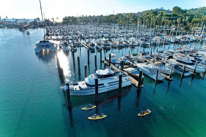 Guided Kayak Wildlife Tour in the Santa Barbara Harbor - Marine Life Exploration