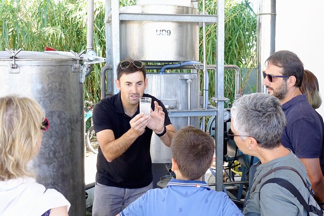 Guided Tour of Lavender Distillery Between Provence & Camargue - Tour Itinerary Overview