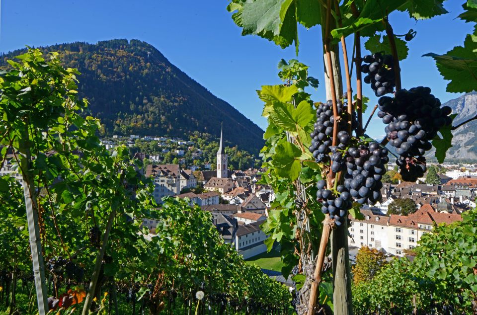 Guided Tour of the Old Town - Explore Baroque Castle in Chur