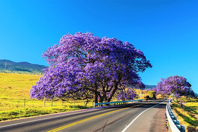 Haleakala Express Self-Guided Bike Tour With Bike Maui - Booking Information