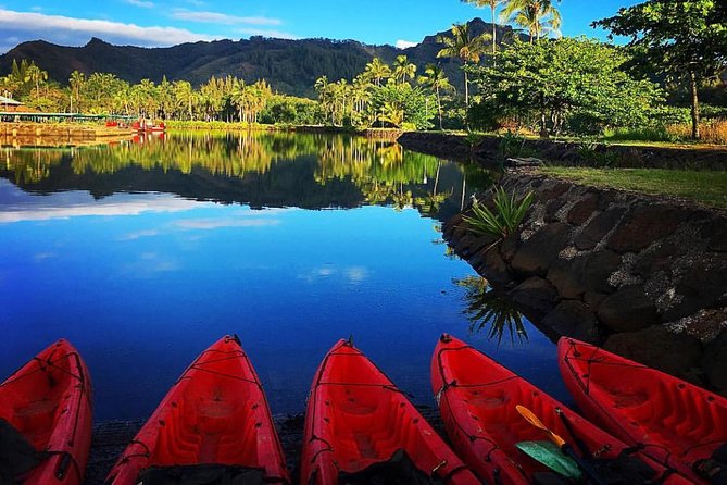 Half-Day Kayak and Waterfall Hike Tour in Kauai With Lunch - Tour Highlights