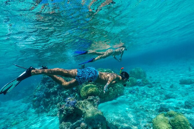 Half Day Private Lagoon Snorkeling Experience - Additional Information