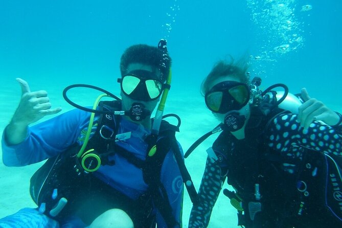 Half Day Scuba Diving Trip in the Florida Keys - Reef Exploration Details