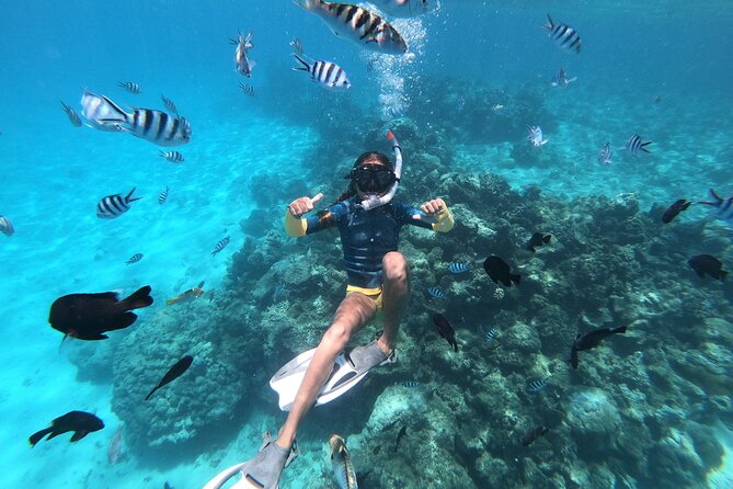 Half-Day Snorkeling Tour From Papeete - Pickup and End Point Information