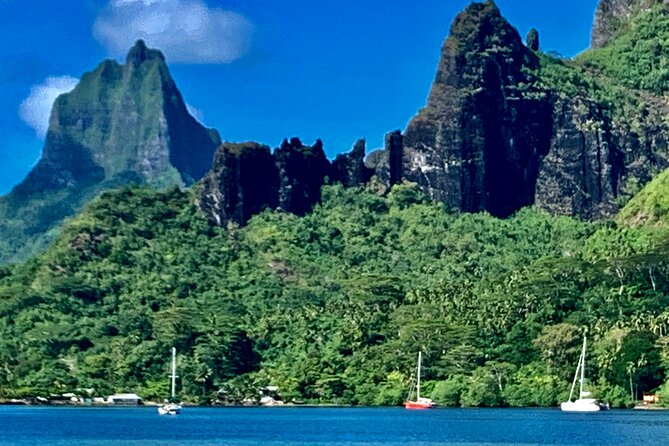 Half-Day Tour of Moorea Island in a Small Group - Customer Reviews