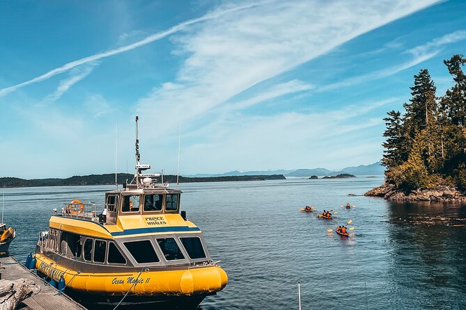 Half-Day Whale Watching Adventure From Telegraph Cove - Operated By