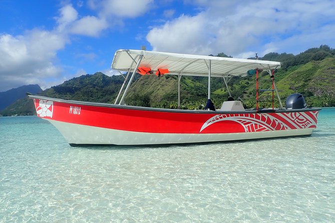 Half-Day Whale Watching and Swimming Tour, Moorea - Cancellation Policy