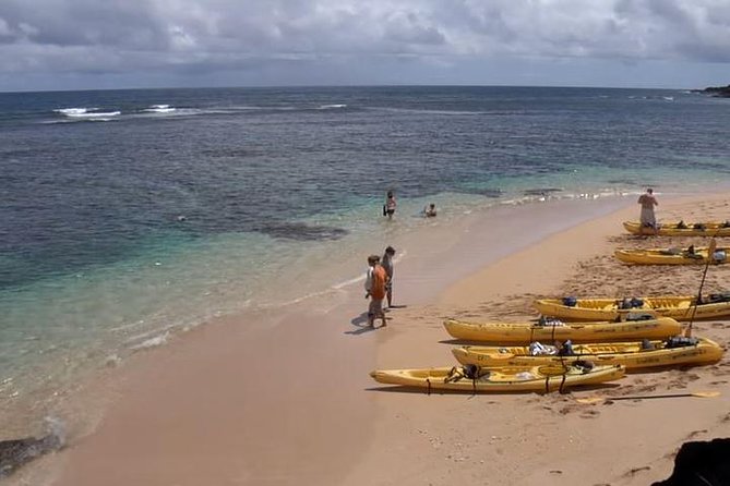 Hanalei River Paddle and Bay - Snorkel Tour - 8 Am - Meeting Point Details