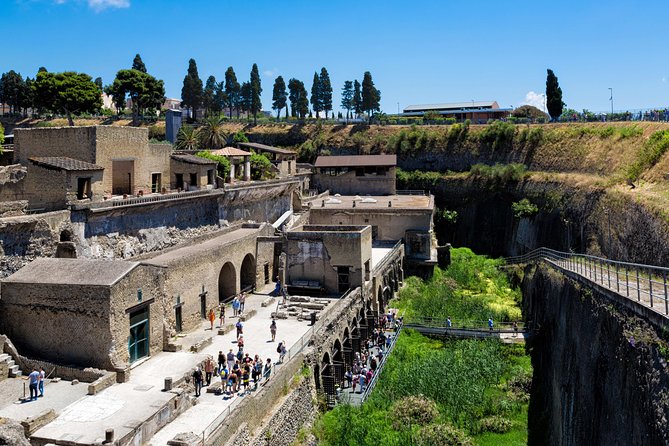 Herculaneum Private Tour With an Archaeologist - Inclusions and Exclusions