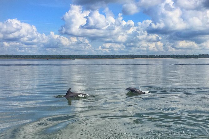 Hilton Head Dolphin Tour With Stop at Disappearing Island - Tour Itinerary