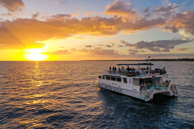 Historical Dinner Cruise to Kealakekua Bay - Onboard Experience and Local Insights