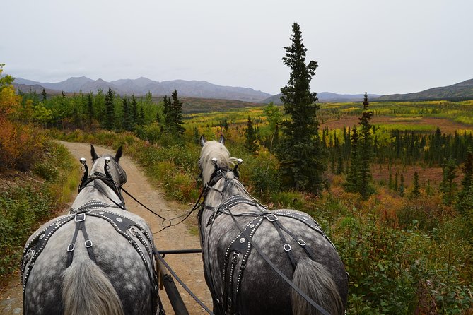 Horse-Drawn Covered Wagon Ride With Backcountry Dining - Tour Highlights