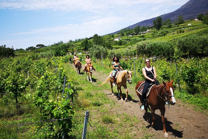 Horseback Riding on Vesuvius - Customer Reviews and Ratings