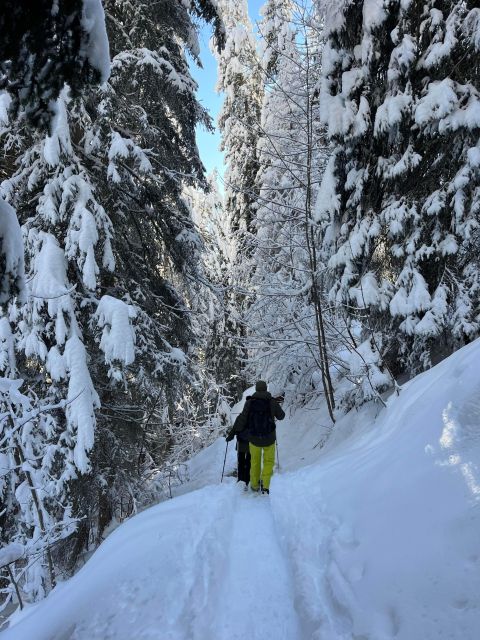 Interlaken: Snowshoe and Fondue Adventure in the Swiss Alps - Highlights