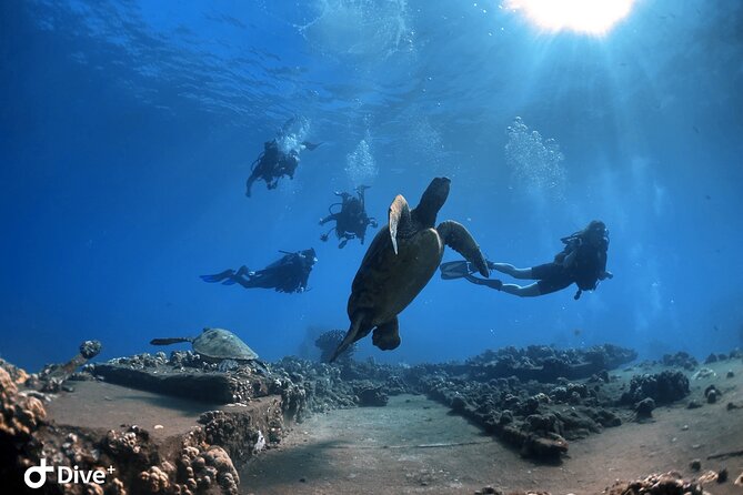 Intro to Scuba Diving in Kaanapali - Equipment and Gear Essentials