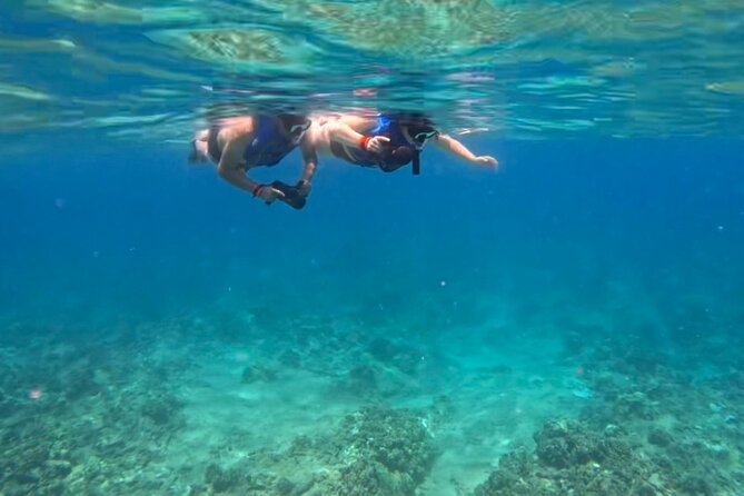 Jet Snorkeling in Turtle, Dolphin and Monk Seal Bay - Booking and Confirmation Process