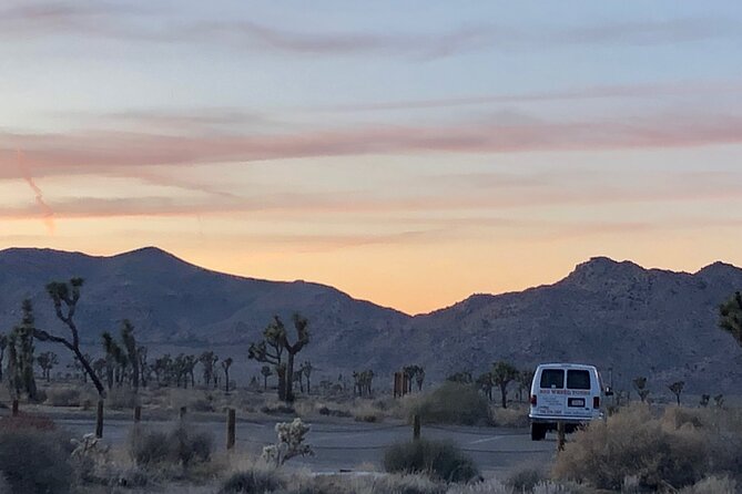 Joshua Tree National Park Driving Tour - Customer Reviews and Testimonials