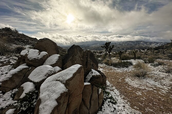 Joshua Tree National Park Self-Driving Audio Tour - Logistics and Meeting Points