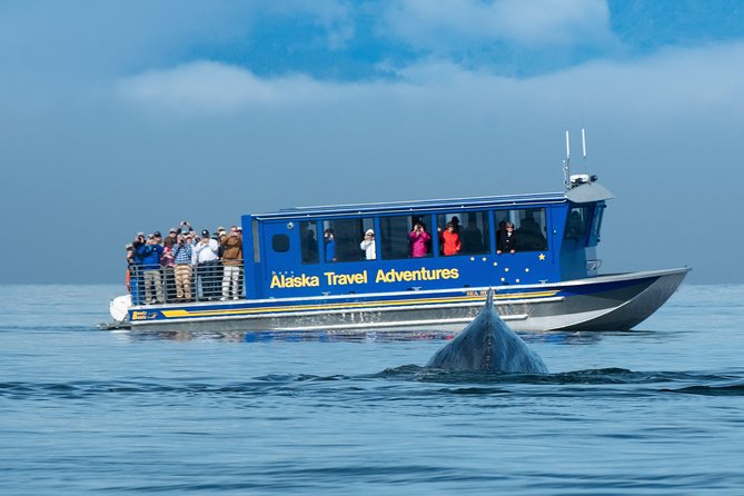 Juneau Whale Watching and Salmon Bake - Additional Information