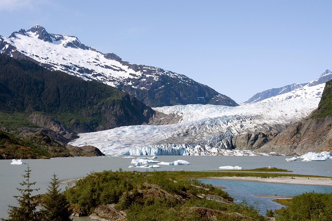 Juneau Wildlife Whale Watching & Mendenhall Glacier - Traveler Experiences and Reviews