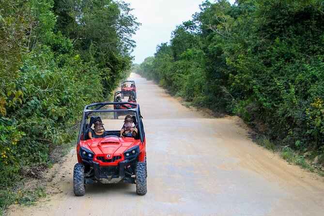 Jungle Buggy Tour From Playa Del Carmen Including Cenote Swim - Tour Experience