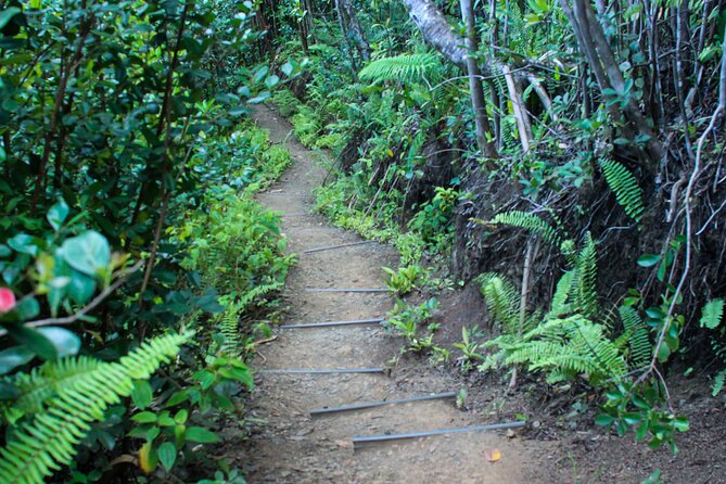 Jungle Expedition Tour at Kualoa Ranch - Common questions