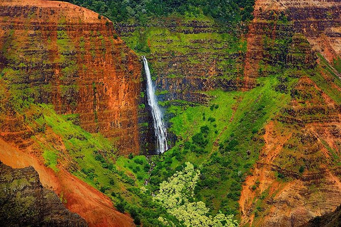 Kauai Waimea Canyon and Forest Tour With Lunch - Traveler Experiences and Reviews