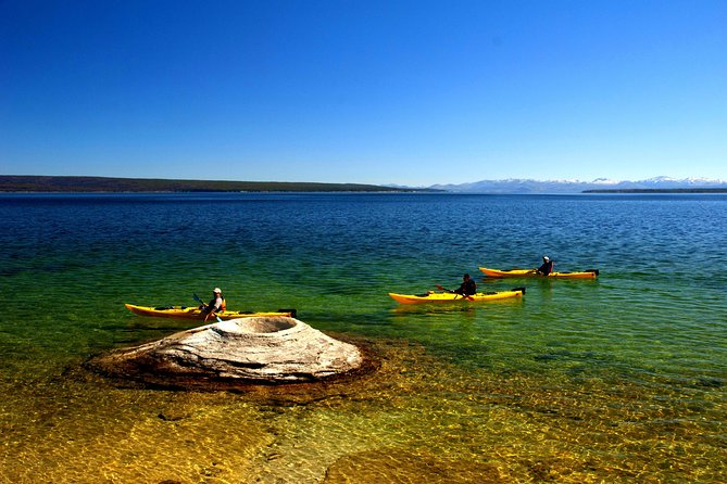 Kayak Day Paddle on Yellowstone Lake - Tour Information