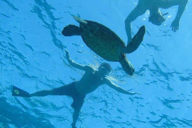 Kealakekua Bay Captain Cook Snorkel Exclusive - Boat Cruise and Captain Cook Monument Visit