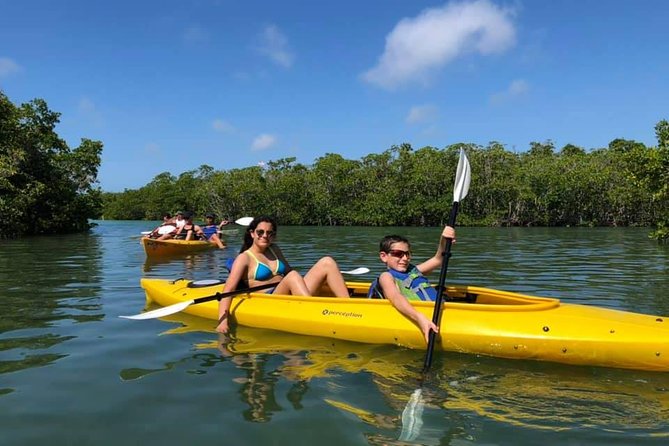 Key West Mangrove Kayak Eco Tour - Tour Experience