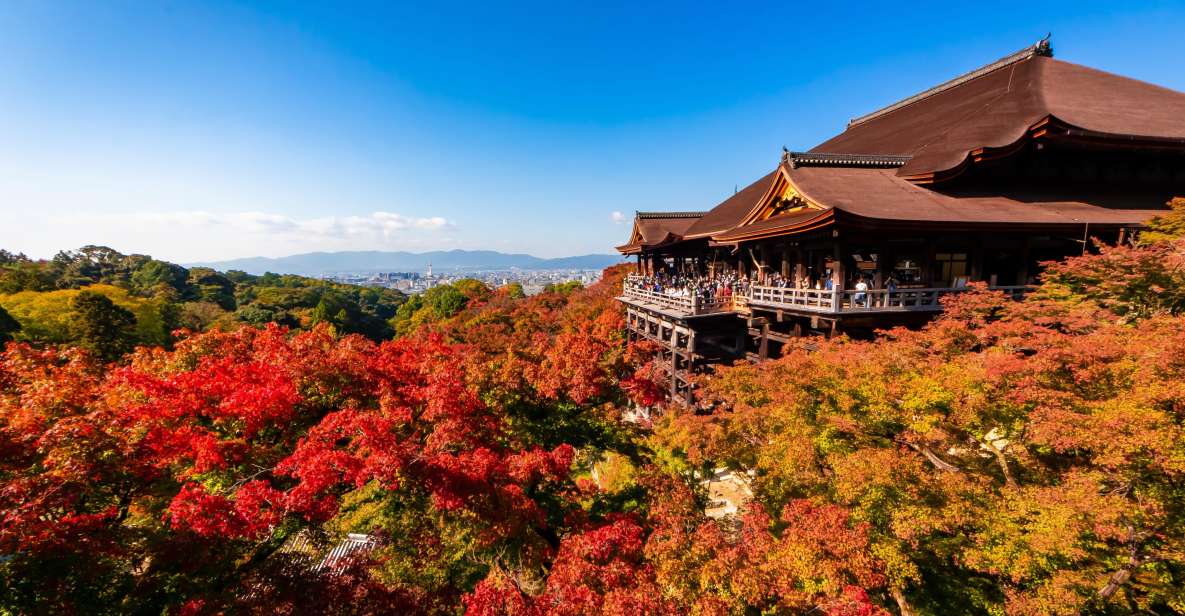 Kiyomizu Temple and Backstreet of Gion Half Day Private Tour - Booking Information for Half Day Tour