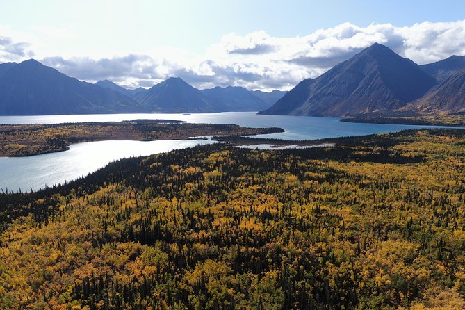 KLUANE NATIONAL PARK - Day-Trip From Whitehorse - Traveler Insights