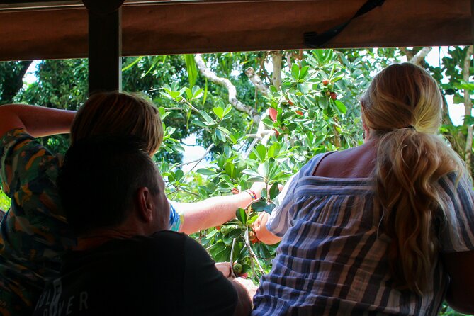 Kualoa Ranch Off-Road Jungle, Garden, Film Location Tour  - Oahu - Additional Information for Guests