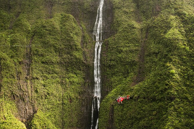 Lihue 4-Guest Open-Door Helicopter Ride  - Kauai - Inclusions