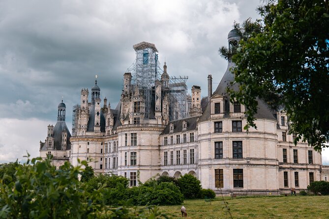 Loire Valley Tour Chambord and Chenonceau From Tours or Amboise - Detailed Itinerary of the Tour
