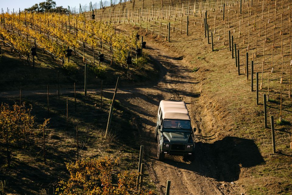 Los Angeles: Private 4x4 Vineyard Tour in Malibu - Vineyard Estate Experience