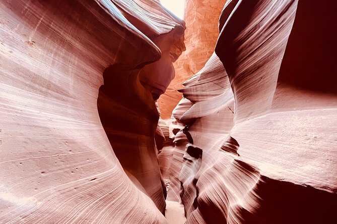 Lower Antelope Canyon and Horseshoe Bend Day Tour With Lunch - Customer Reviews