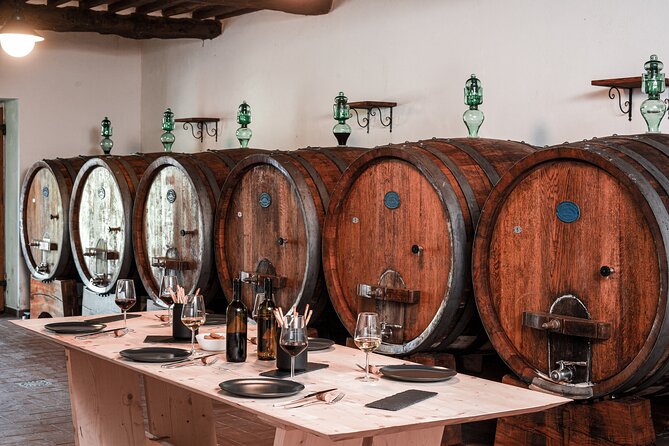 Lucca: Wine Tasting Experience - Tenuta Adamo Winery - Connect With Winemaker for Tour