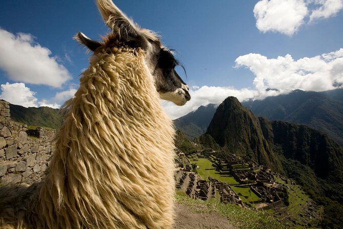 Machu Picchu Private Guided Tour From Aguas Calientes - Additional Information